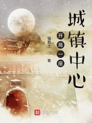 ��ʷС˵:����һ����������