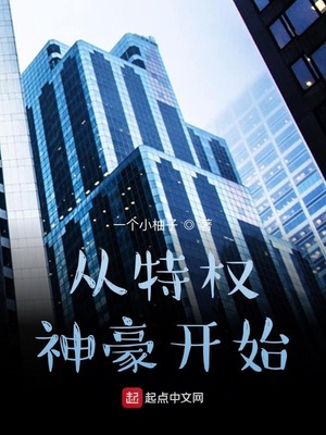 ����С˵:����Ȩ�����ʼ