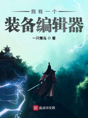 武侠小说:我有一个装备编辑器 武侠小说:我有一个装备编辑器