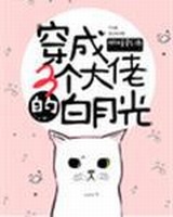 ��ʷС˵:�����������еİ��¹�