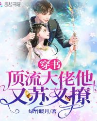 ����С˵:���鶥����������������