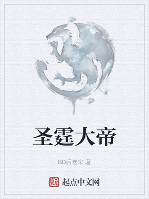 ����С˵:ʥ�����