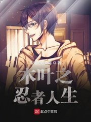 ��ʷС˵:ľҶ֮��������