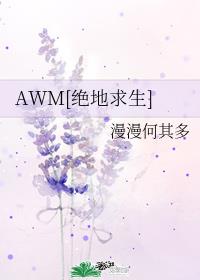С˵:AWM[]