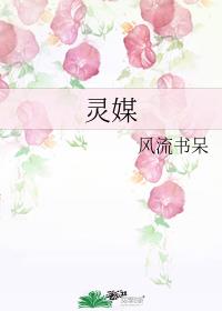 ����С˵:��ý