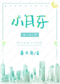 ����С˵:С����