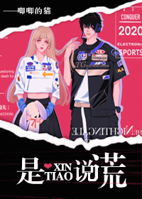 ����С˵:������˵��