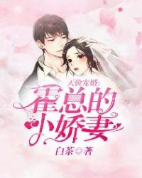 言情小说:天价宠婚:霍总的小娇妻 言情小说:天价宠婚:霍总的小娇妻