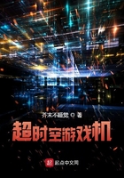 ����С˵:��ʱ����Ϸ��