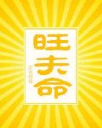 ����С˵:������