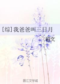 ����С˵:ɽ������