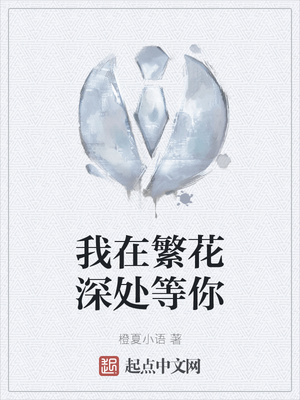 ����С˵:���ڷ��������