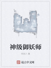 ����С˵:������ʦ