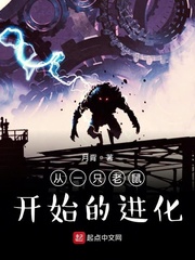 ����С˵:��һֻ����ʼ�Ľ���