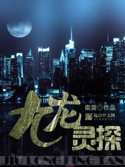 ����С˵:������̽