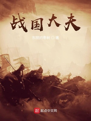 ��ʷС˵:ս�����