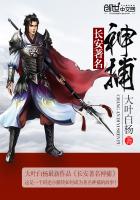 ��ʷС˵:����������