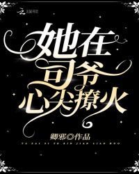 ����С˵:����˾ү�ļ��û�