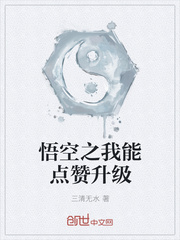 ����С˵:���֮���ܵ�������