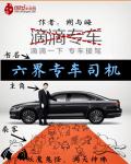 武侠小说:六界专车司机 武侠小说:六界专车司机