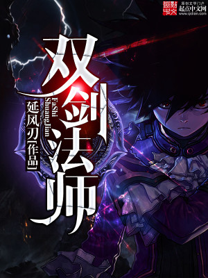 ����С˵:˫����ʦ