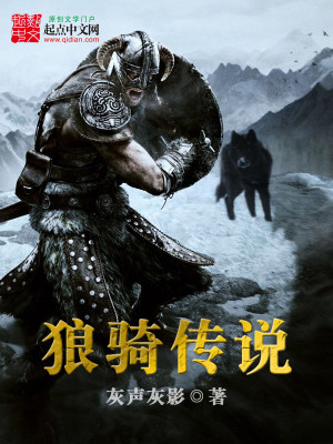 ����С˵:���ﴫ˵