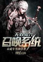 ����С˵:��˫�����ٻ�ϵͳ