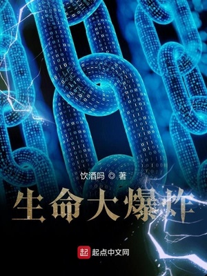 ����С˵:������ը