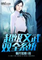 ����С˵:��������˫ȫϵͳ