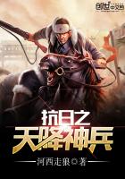 ��ʷС˵:����֮�콵���