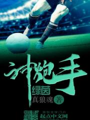 ��ʷС˵:����������