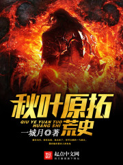 ����С˵:��Ҷԭ�ػ�ʷ