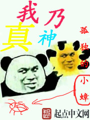 ����С˵:��������