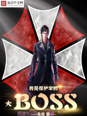 ����С˵:���Ǳ���ɡ��BOSS