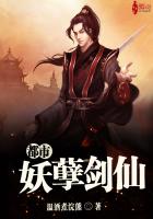 ����С˵:������������