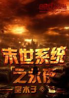 ����С˵:ĩ��ϵͳ֮��ҹ