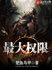 ����С˵:���Ȩ��