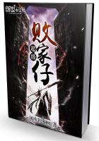 ����С˵:�����ܼ���