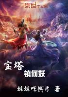 ����С˵:���������