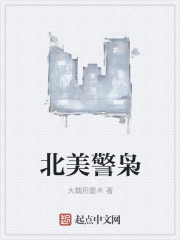 ����С˵:��������