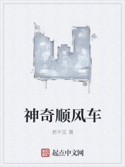 ����С˵:����˳�糵