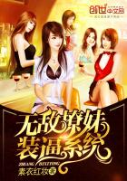 ����С˵:�޵�����װ��ϵͳ