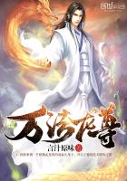 ����С˵:������