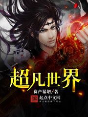 ����С˵:��������