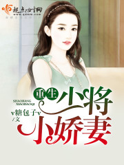 ����С˵:�����ٽ�С����