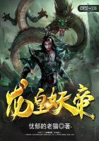 ����С˵:��������