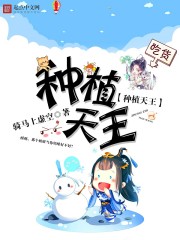 ����С˵:��ֲ����