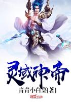 ����С˵:�������