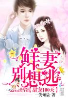 言情小说:甜宠100天:鲜妻,别想逃 言情小说:甜宠100天:鲜妻,别想逃