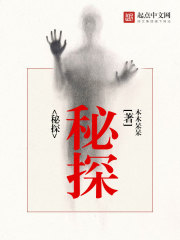 ����С˵:��̽